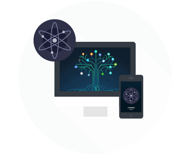 Cosmos kaufen Anleitung